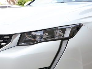 2022360THP PureTech {Ȥ 