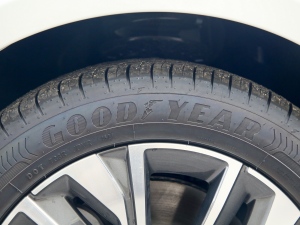 2022360THP PureTech {Ȥ ݆̥Ʒ