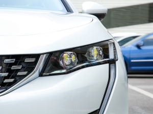 2022360THP PureTech {Ȥ ^