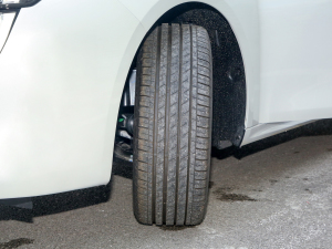 2022360THP PureTech {Ȥ ^