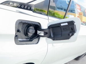 2022360THP PureTech {Ȥ w