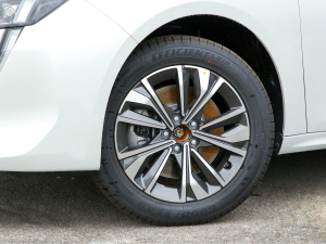 2022360THP PureTech {Ȥ ݆Ȧ