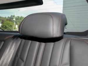 2022360THP PureTech {Ȥ g