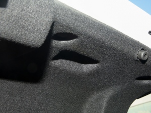 2022360THP PureTech {Ȥ g