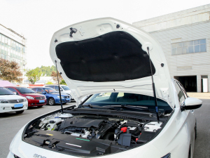 2022360THP PureTech {Ȥ lәCœ