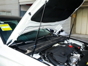 2022360THP PureTech {Ȥ 