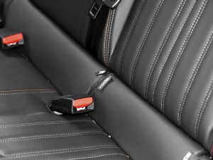 2022230THP THE ONE g