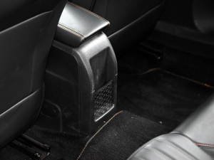 2022230THP THE ONE g