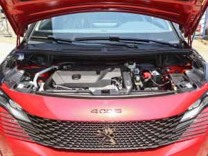 2022400THP ҹƼ lәC