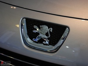 2010款1.6L 手动舒适版 细节外观