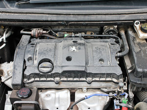 2010款1.6L 自动舒适版 发动机