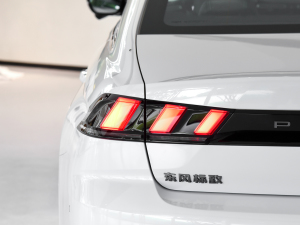 2023400THP PureTech SŞ ^