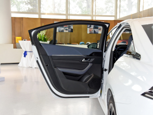 2023400THP PureTech SŞ ܇T