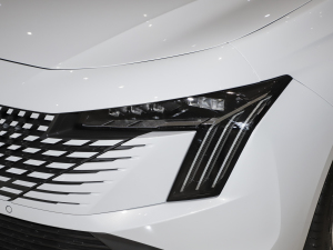 2023400THP PureTech SŞ 