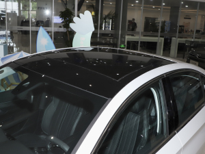 2023400THP PureTech SŞ ܇