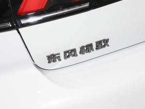 2023400THP PureTech SŞ ^