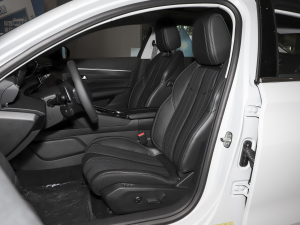 2023400THP PureTech SŞ {