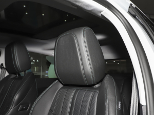 2023400THP PureTech SŞ g