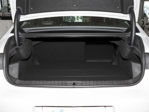 2023400THP PureTech SŞ g