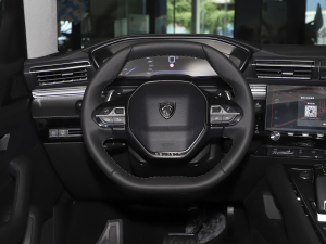 2023400THP PureTech S(dng)Ş P