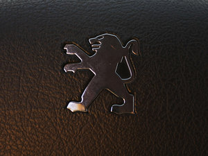 20101.6L Ԅ(dng)Ʒ п؅^(q)