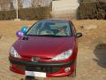 2008��206�������