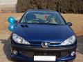 2008��206�������