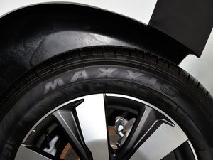 2015款1.6T 罗兰加洛斯限量版 轮胎品牌