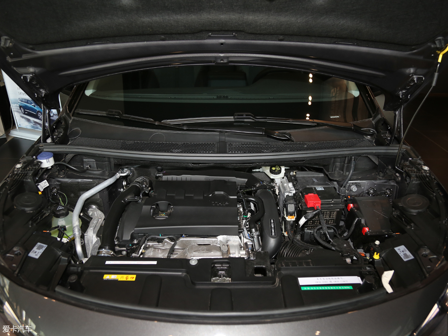 2017(bio)5008 380THP Ӣ 5