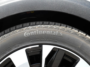 2017380THP AGT 7 ݆̥Ʒ