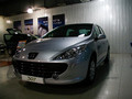 2008��307�����������