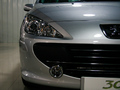 2008��307����ϸ�����