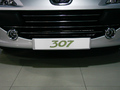2008��307����ϸ�����