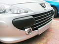 2008��307��������