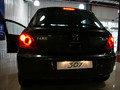 2008��307����ϸ�����