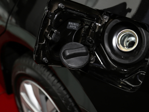 20182.0L XL M(jn) (x)(ji)^