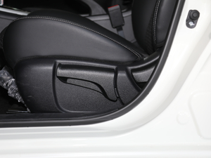 2019款1.6L CVT智享版 国VI 主驾驶座椅调节