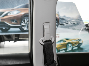 20192.5L CVT(q)(lin)A g