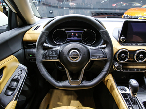 2020款1.6L TOP CVT奢享版 中控区
