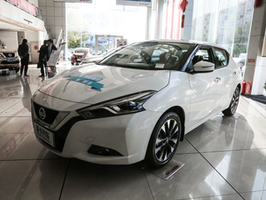 20191.6L CVT(lin)ǿ (gu)V ǰ45