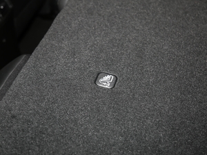 20202.0L XL ITS CVTm g