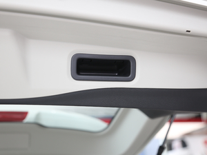 20202.0L XL ITS 3rows CVT(q)(lin)m 7 g