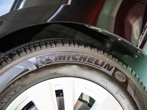 20202.0L XL m ݆̥Ʒ