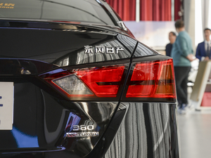 2020Ŀ 2.0T XL Upper AD1 I β