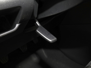 20211.5L XE քӿӰ п؅^(q)