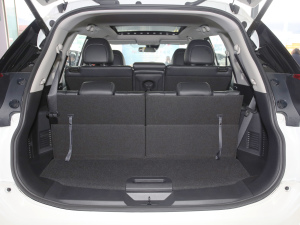 20212.5L XL ITS 3rows CVT(q)AI(lng) 7 g