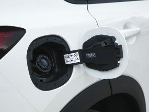 2021VC-Turbo 300 CVT 2WDA w