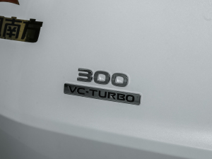 2021款VC-Turbo 300 CVT 2WD舒适版 细节外观