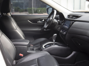 2022sҫ 2.0L (q)(lin) g