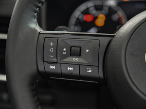 2021VC-Turbo 300 CVT 4WD п؅^